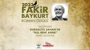 Fakir Baykurt Roman Ödülü