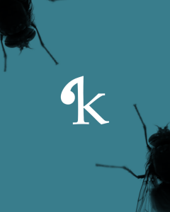 Küçürek Öykü