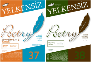 Yelkensiz Şiir